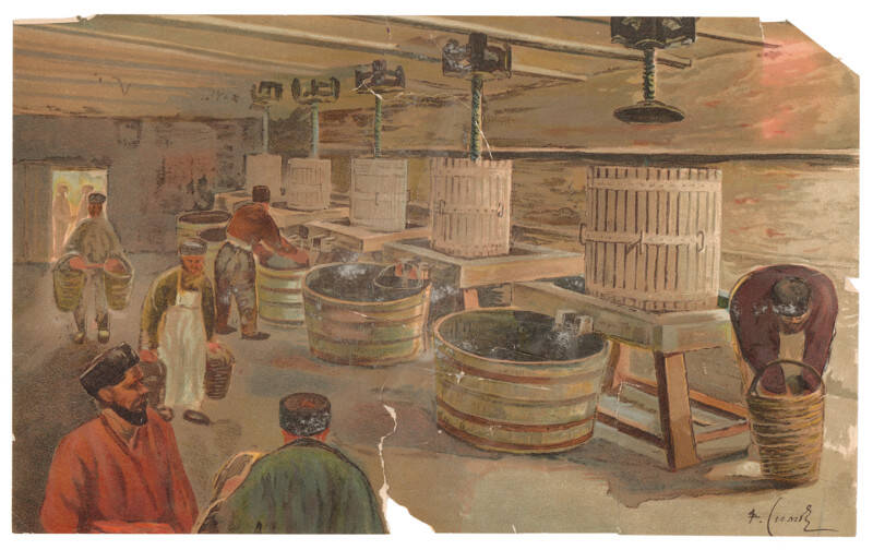 Виноделие в Крыму. Наглядные учебные пособия по этнографии издательства В.В.Думнова. Москва. Начало ХХ в. Ставропольский государственный музей-заповедник