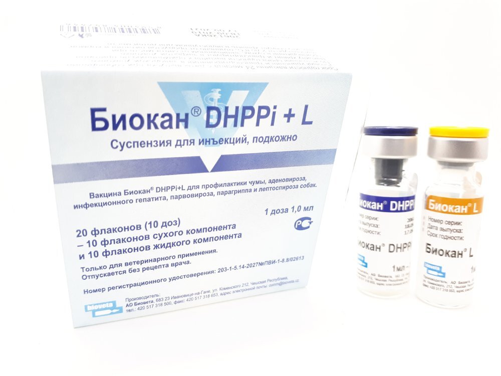 Источник фото: https://gelento.ru/ 