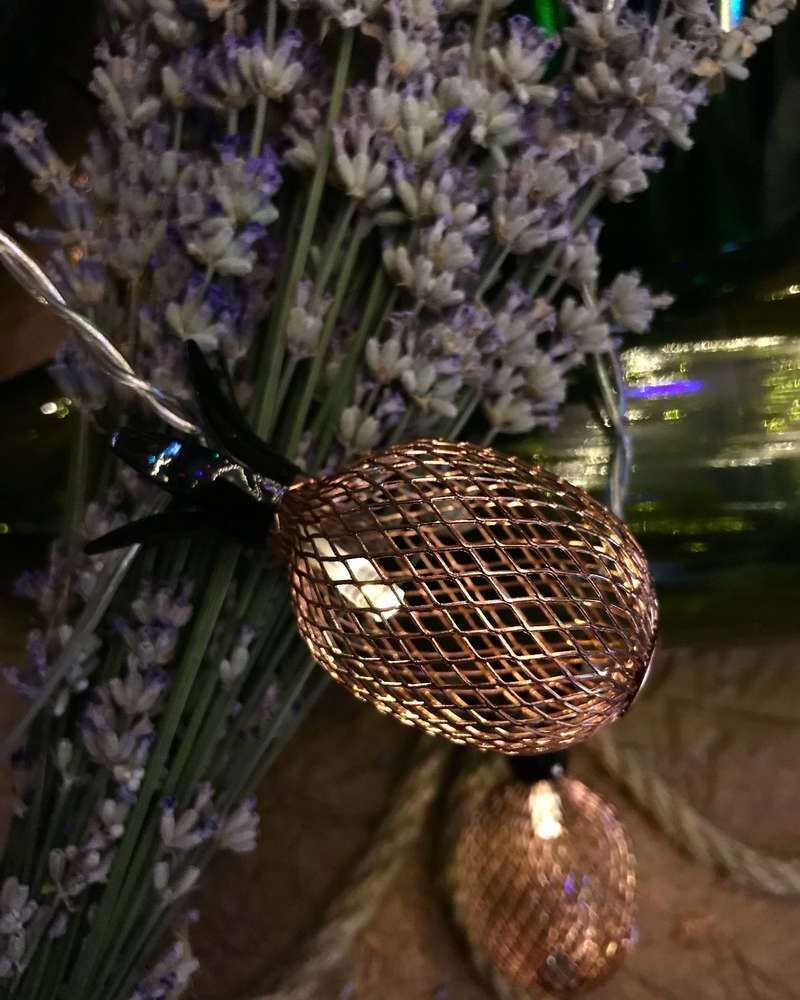 Источник фото - https://goo.su/UOvME