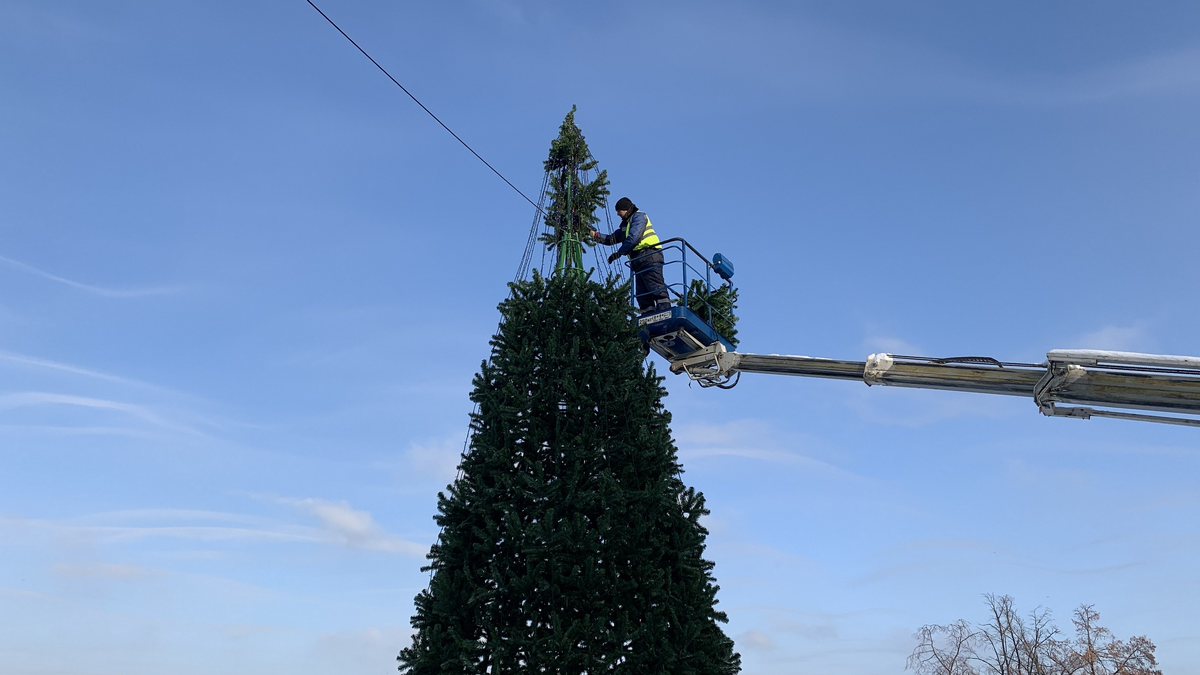 Устанавливают ёлку в Самаре