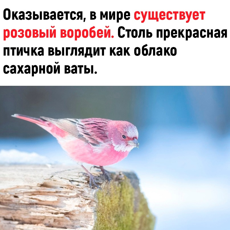 Источник - ВК