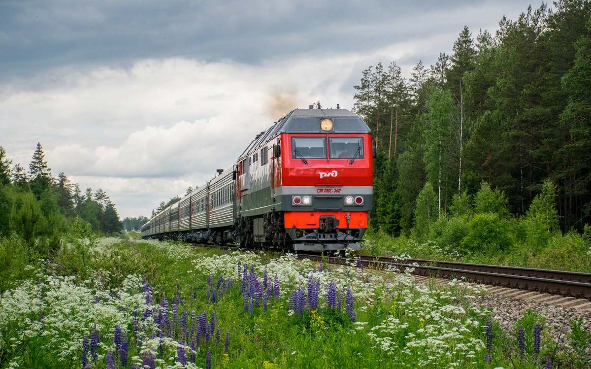 Вельск санкт петербург поезд. Тепловоз тэп70бс КЖД. Тепловоз тэп70 станция Сургут. Пассажирский тепловоз тэп70. Тэп70бс 306.