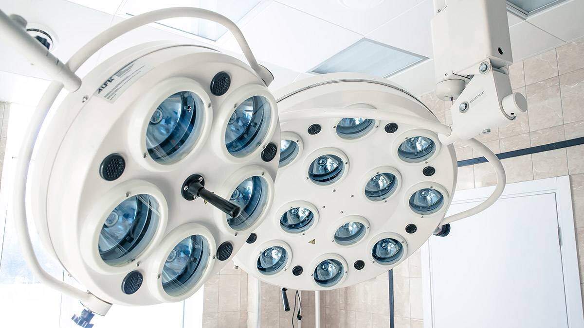    Фото: gov.spb.ru