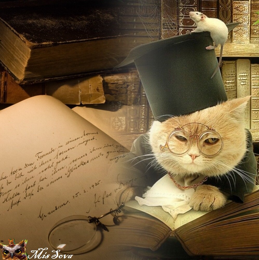 Чтение - свет, нечтение - полутьма. Коллаж автора