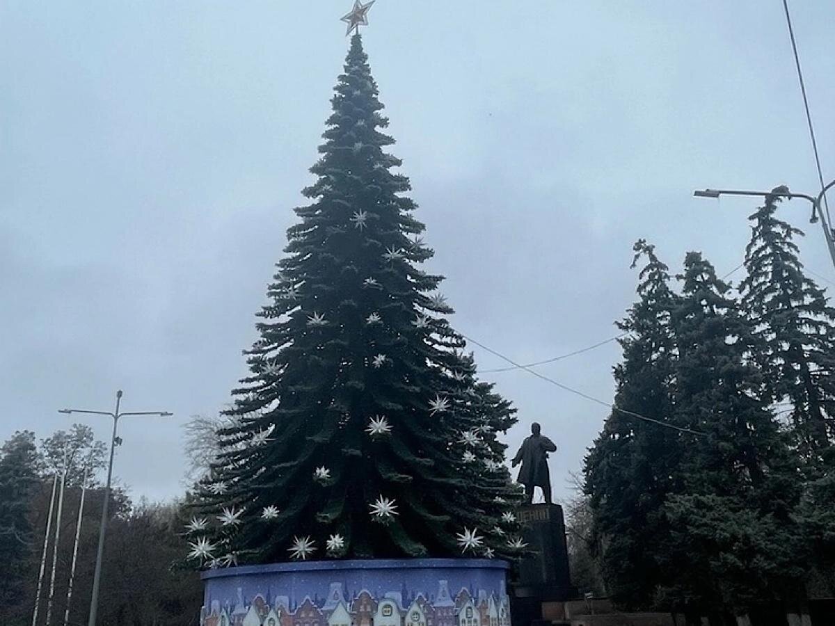 Фоторепортаж о главных ёлках городов Ростовской области | Donday.ru | Дзен