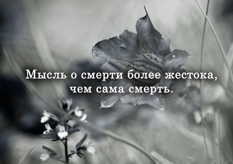 Мои мысли о смерти | Мысли и по волне моей памяти | Дзен