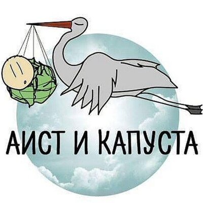 Кейс №11 «Аистята» — проект Барнаульской городской организации усыновителей «День Аиста» |