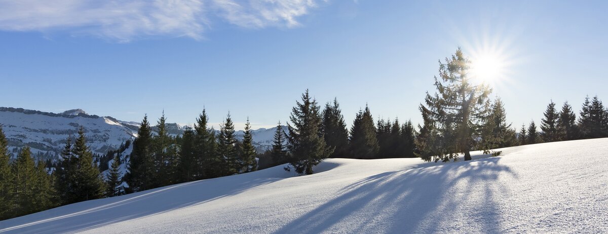    21 декабря Солнце "застрянет" на одной высоте - настолько низкой, что даже в полдень будет буквально нависать над горизонтом. / iStock