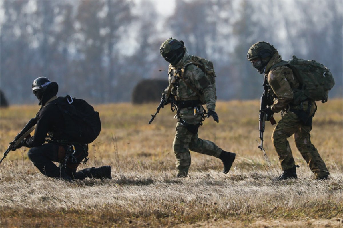    Кровавая жатва.