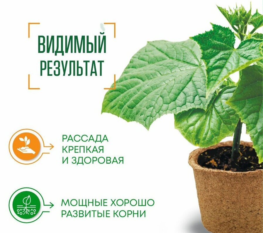 С новинкой от БИО-Комплекс 💚

ЛИСТОРИЯ РАССАДА — удобрение премиум-класса для ЛИСТОВОЙ подкормки всех видов растений.-2