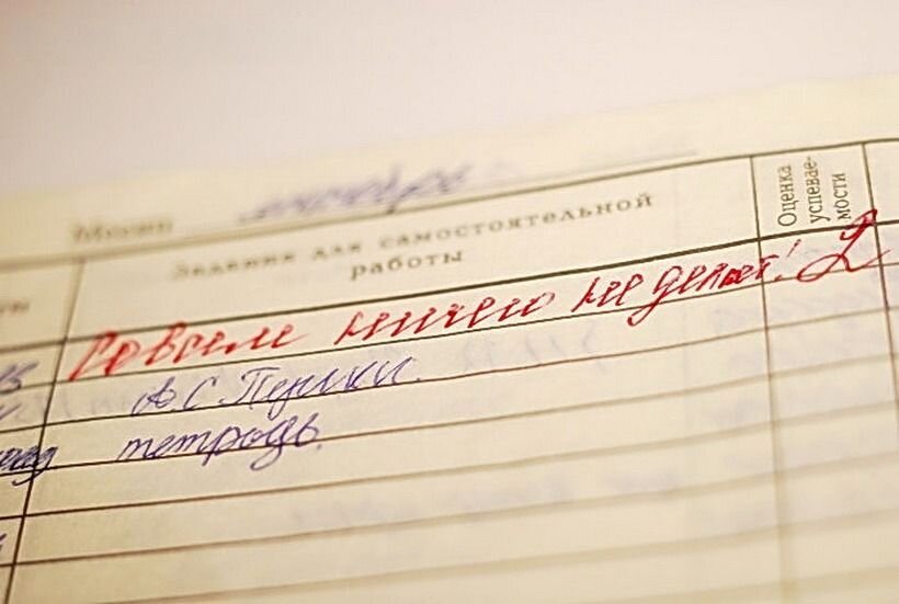 Вот такое в дневнике для Ляли - трагедия. И даже если двойка не школьная, а моя, на словах, - у нее истерика. Источник картинки: krasivoe-foto.ru