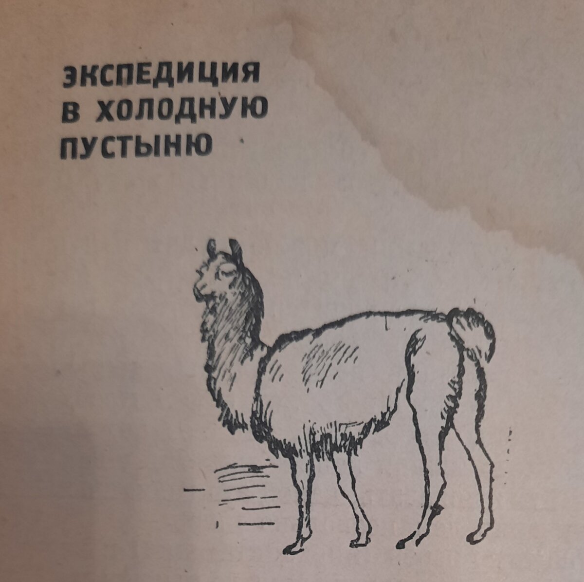 Извините за качество.