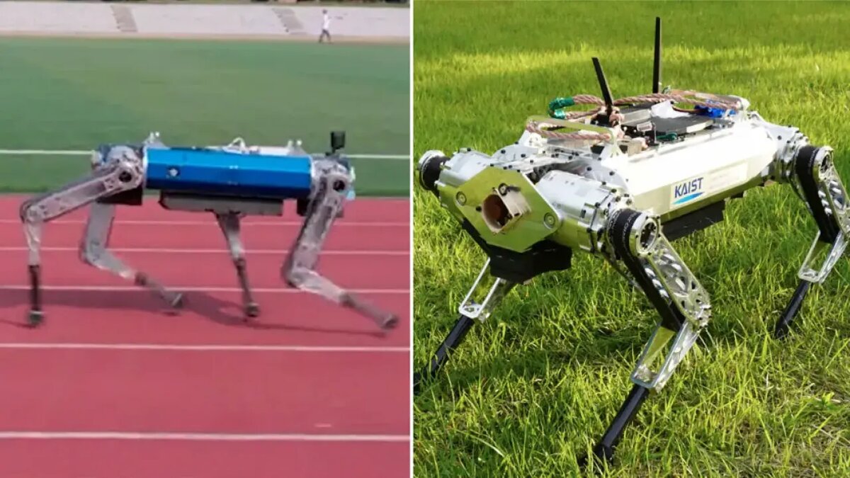 робот-собака  Hound