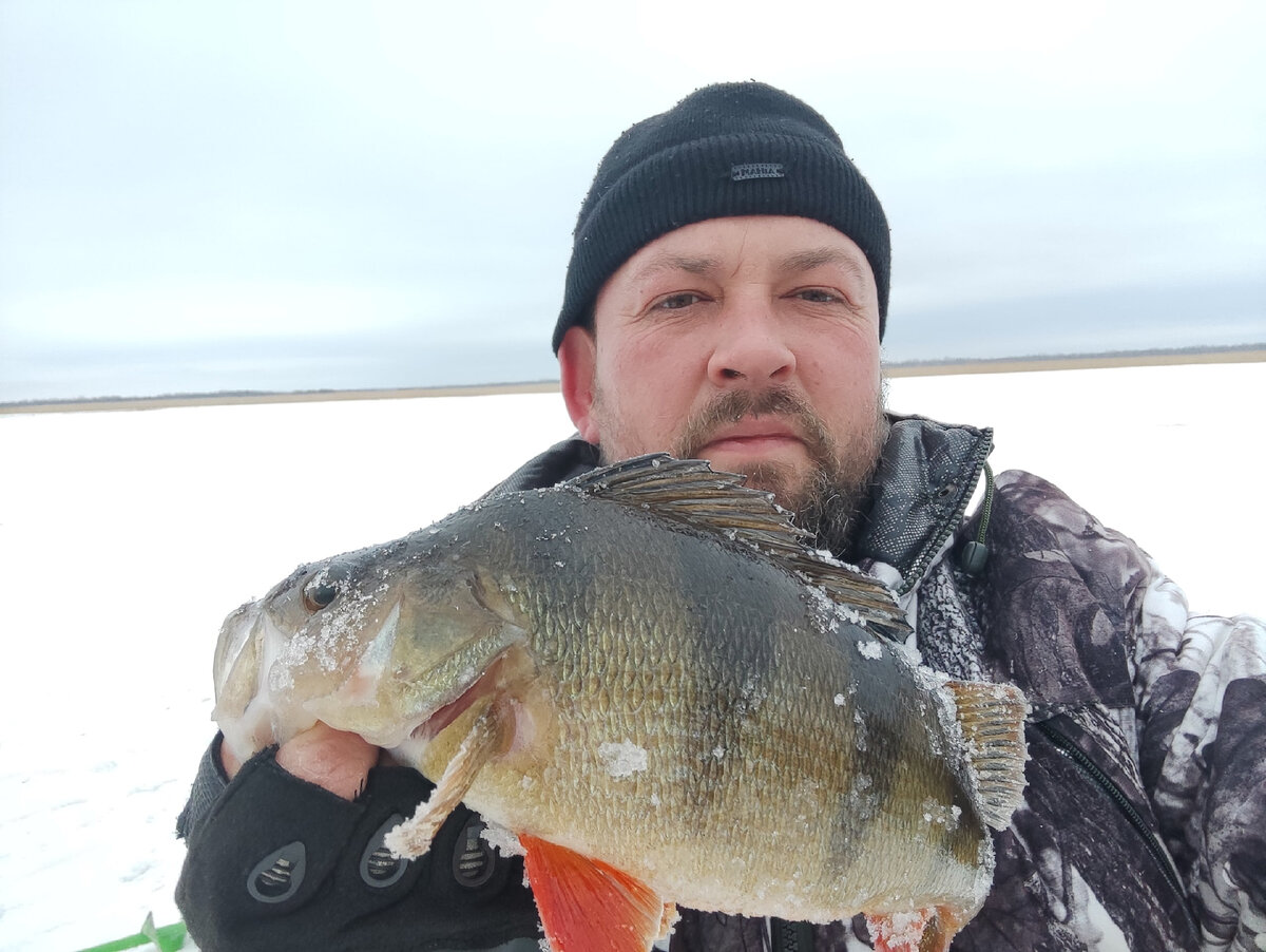 фото: Николай Жгарев