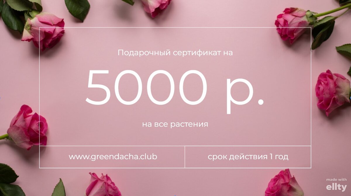 Подарочные сертификаты на 3000р., 5000р., 10000р., 15000р. на нашем сайте.
