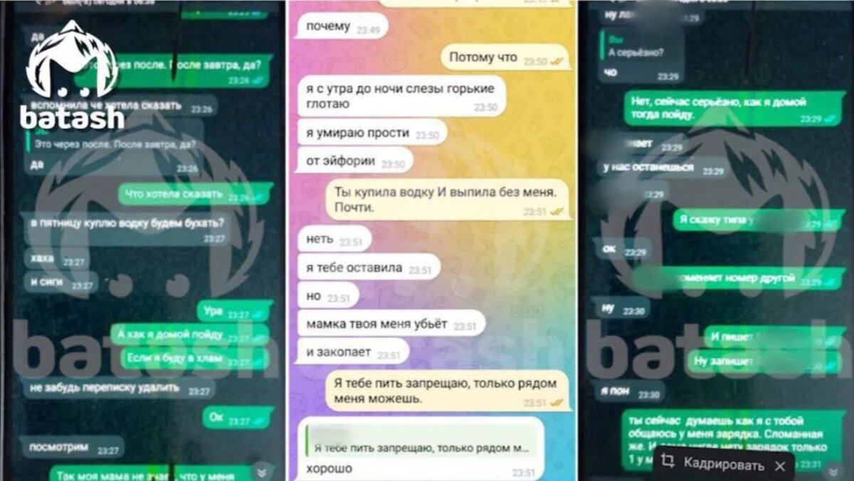Впервые переписки были опубликованы Telegram-каналом Mash