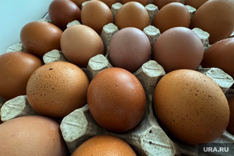    Средняя цена десятка яиц за неделю выросла до 121 рубля