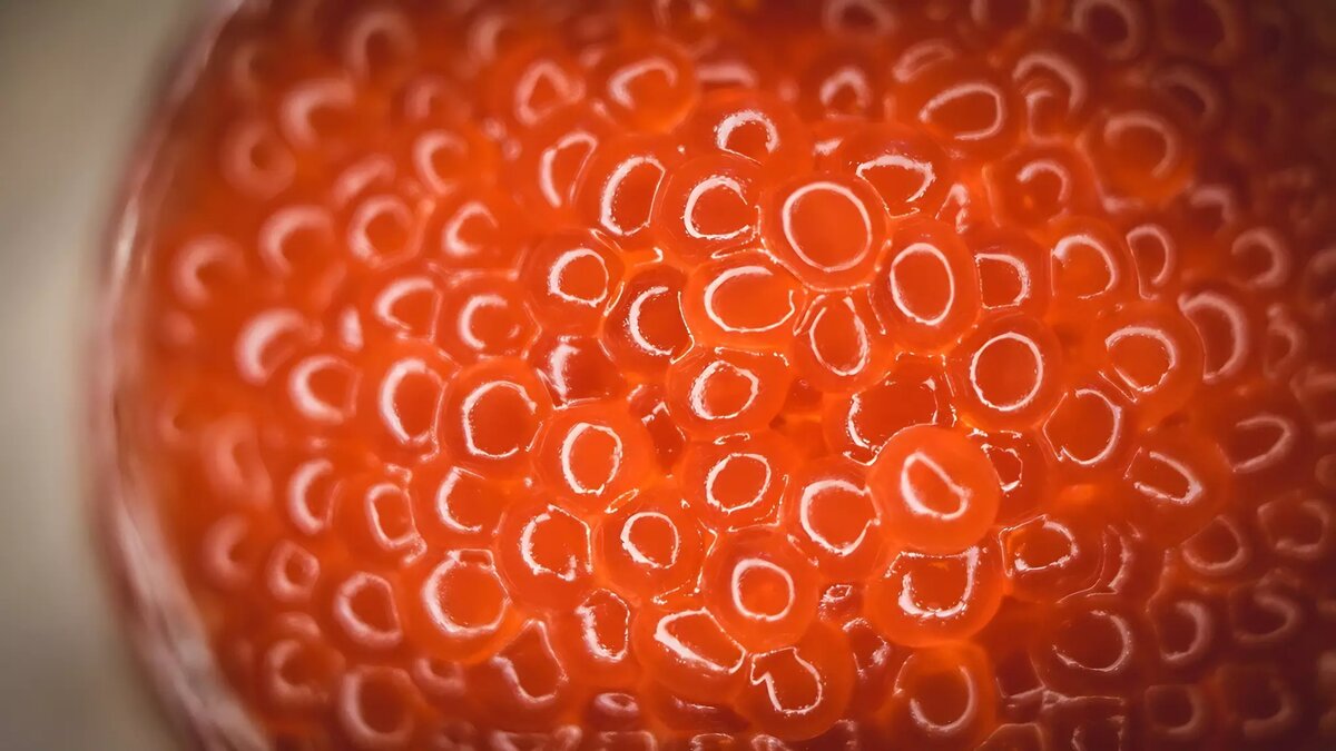     Главный новогодний деликатес — красная икра — может нанести огромный вред здоровью. Причем навредить лакомство способно как людям с определенными заболеваниями, так и здоровым. Как выбрать икру и бывает ли она поддельной, что происходит с организмом при переедании икрой — в материале «НИ».