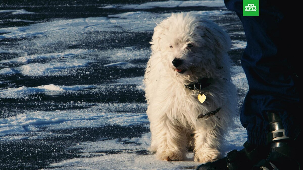    Фото: Andreas Jensen / unsplash.com