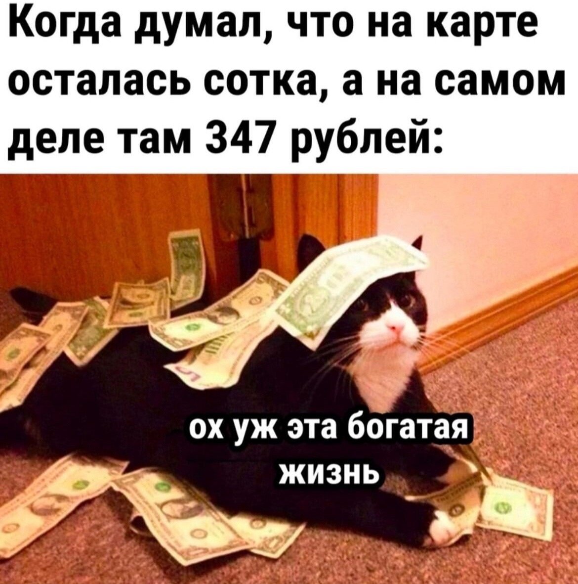 Всратые мемы. Заработок. Дзен мани логотип. Дзен деньги. Если ты еще раз возьмешь деньги дзен.