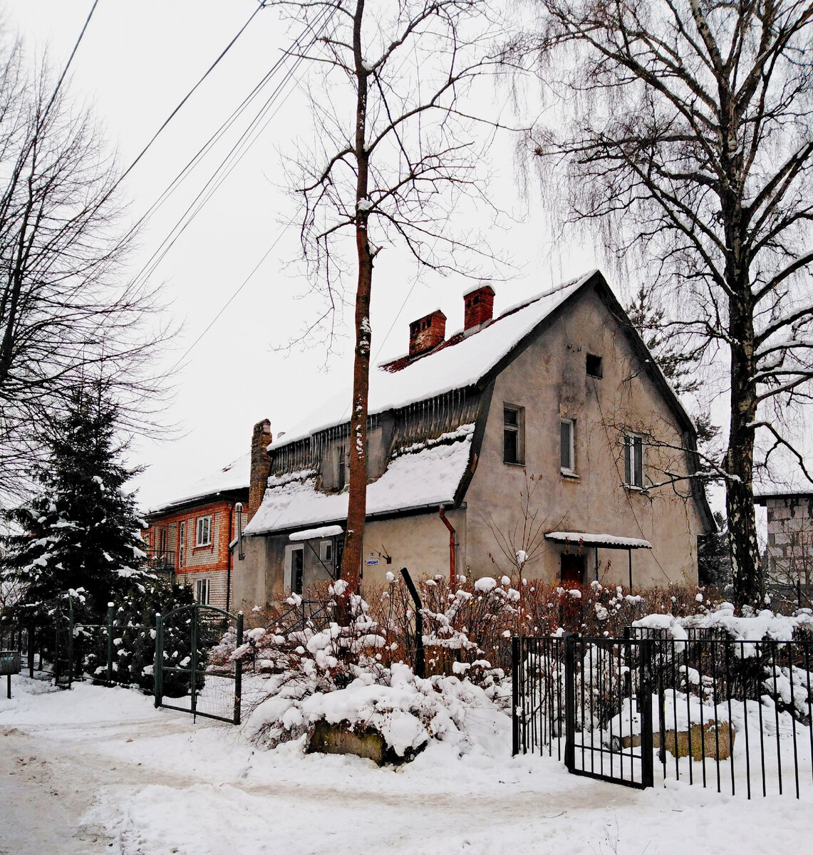 в розовый сад манхва на корейском фото 17