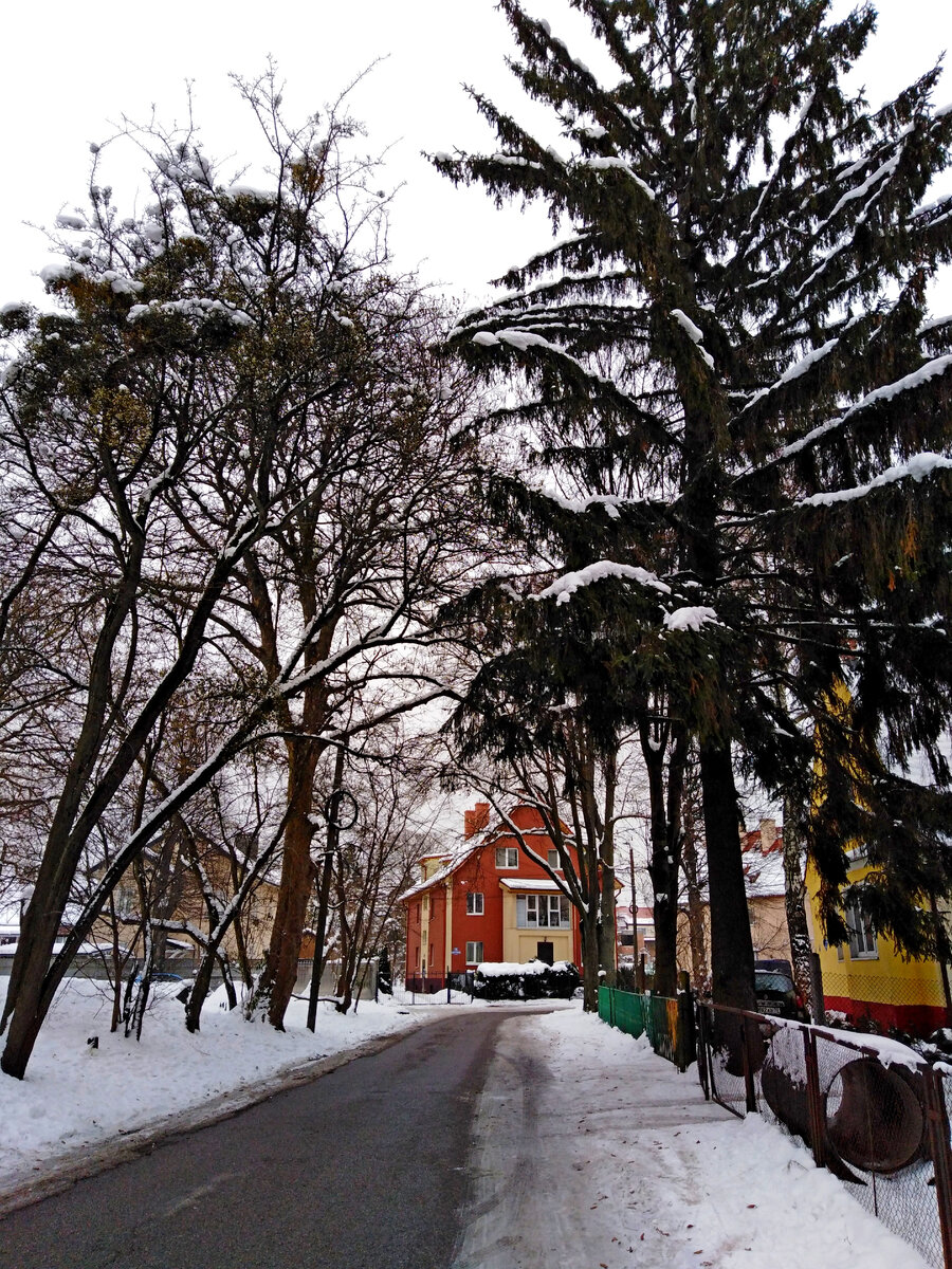 в розовый сад манхва на корейском фото 28