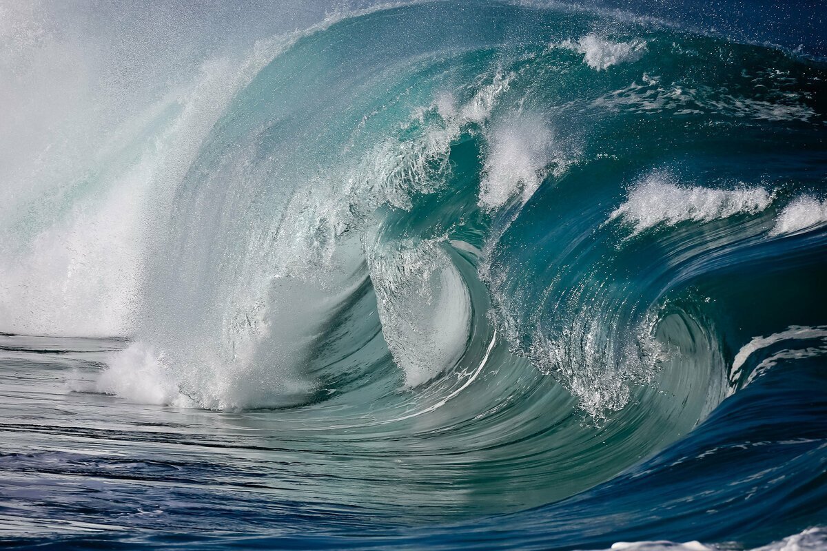 изображение из открытых источников