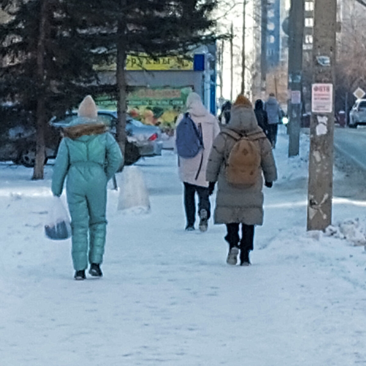 Хорошо, когда в мороз есть кому сварить пельмени | Дом, сад, телескоп,  Алтай | Дзен