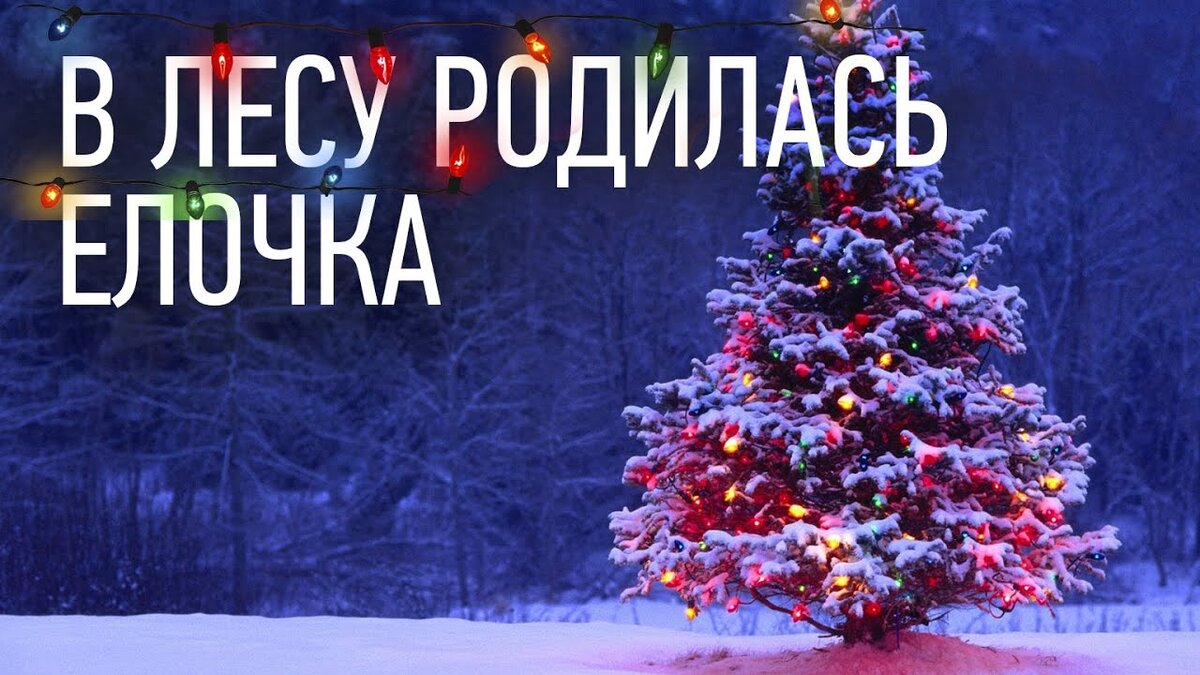 Песня новогодняя в лесу родилась елочка слушать. В лесу родилась ёлочка. В лесу продиласьелочка. Gв лесу родилась елочка. Песенка в лесу родилась елочка.