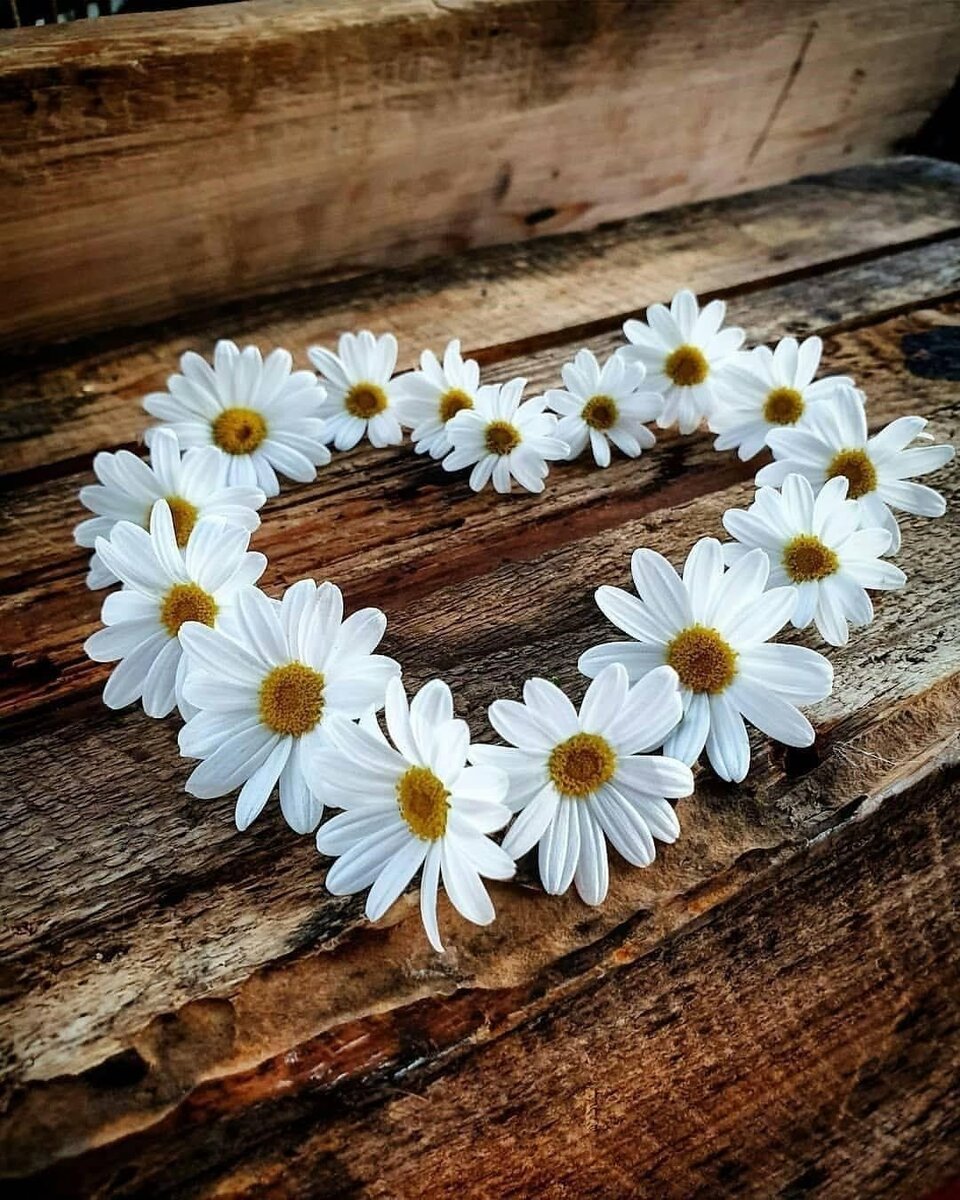 Быть живой и неидеальной. 
 
Я хочу, чтобы женщины были сильными.. Не настолько, чтобы таскать мешки на спине. 
 
Нет.. А чтобы они могли закрыть дверь перед носом человека, который не приносит им радости.. Чтобы не давали себя в обиду, были самодостаточными, цельными и были переполнены уважением к себе.. Чтобы они не боялись одиночества, чтобы они любили себя так сильно, что не позволяли никому унижать их.. Чтобы они ухаживали за собой внешне, становились богаче внутри и перестали считать самой сильной болью - неразделенную любовь, а целью всей жизни - выскочить замуж. 
 
Чтобы прочувствовали Свою Силу. Были ведомы Внутренней Живостью. Чтобы прекратили лгать самим себе и соглашаться на меньшее. Были Цельными и Звучащими. 
Чтобы они не были всем, что можно описать и подкорректировать. 
 
А просто Дышали. Дышали во всю мощь и глубину.. Просто Дышали. 
 
И я знаю по себе, что иногда надо пройти через жуткую и леденящую боль, чтобы осознать, что ее создаешь сама. Провести себя кругами ада и дойти туда, где все сходится и осознается истинность момента. Где приходит ценность всего опыта и пройденного пути. Где обитают ростки принятия и любви к себе. 
 
И заново надо учиться ходить, слышать, чувствовать, ощущать и мыслить. Все заново. Даже кушать учиться заново. Иначе. Качественно иначе. 
 
И благодарна. Бесконечно благодарна за боль, которую прошла. Живя Той Собой, Которая есть Сейчас и каждое мгновение иная. 
 
За возможность осознавать и ощущать Вдох и Выдох. За ритмы жизни в себе. 
За Силу Быть Собой Настоящей. Созданной и рожденной самой собой. За Нежность Песни Жизни. За Цельность Света и Тени. 
 
За Себя Такую...БлагоДарю. 
 

