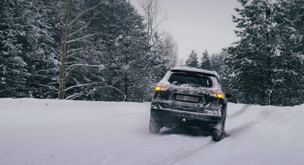    unsplash.com Лариса Максимычева