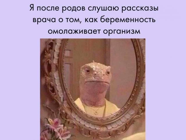 Картинка из свободного доступа