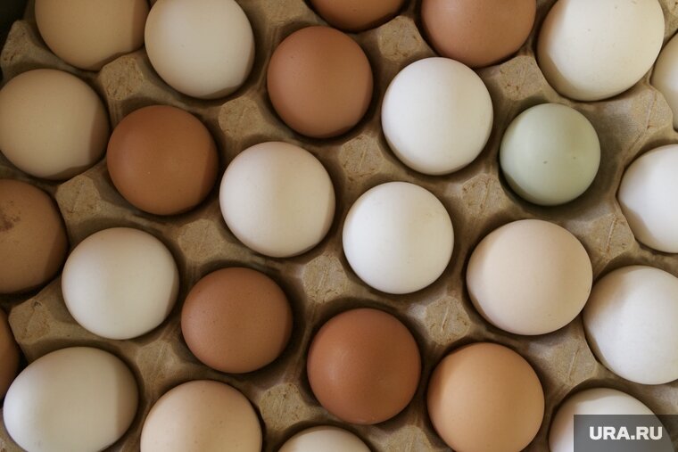    Самая высокая стоимость десятка яиц в Ноябрьске составляет 150 рублей