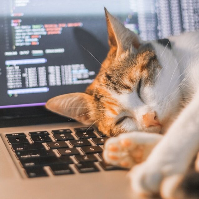 Обновил сервер и спит