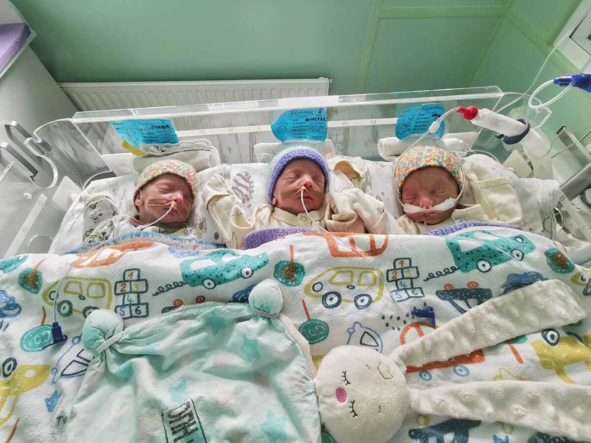 На фото братьям несколько недель 