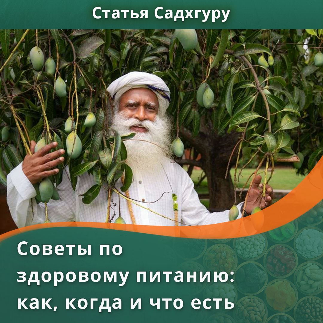 Советы по здоровому питанию: как, когда и что есть | Садхгуру — официальный  канал на русском языке | Дзен