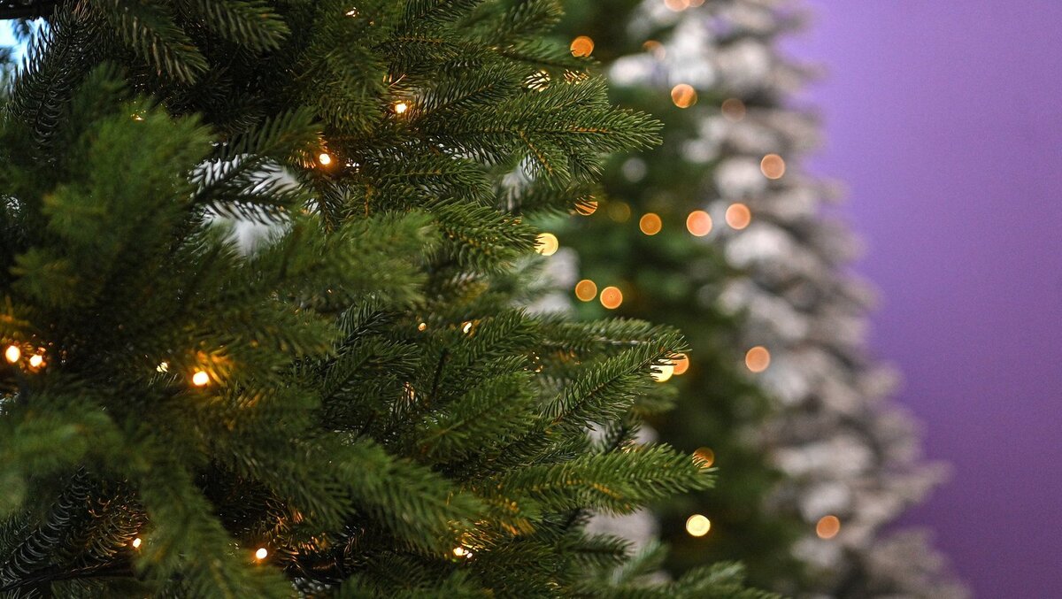 Источник: РИА «Новости»