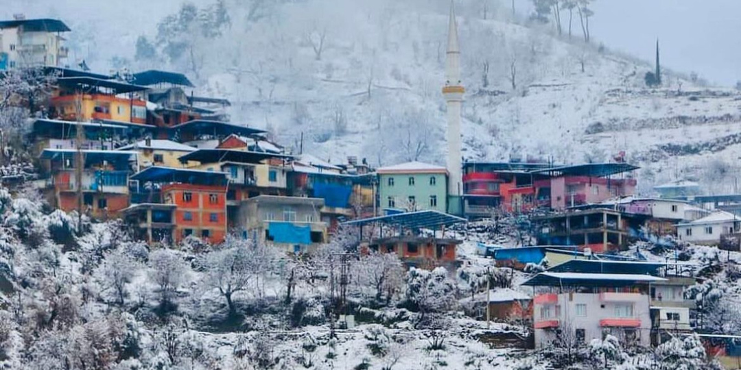 Наконец-то добралась до деревни и увиделась с родней