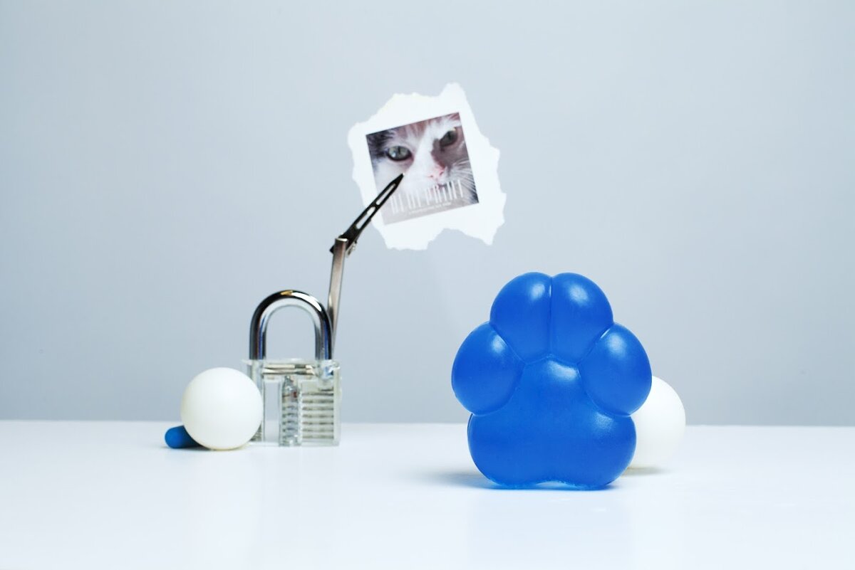    The Blueprint представил коллаборацию с Patissoncha (фото 1)