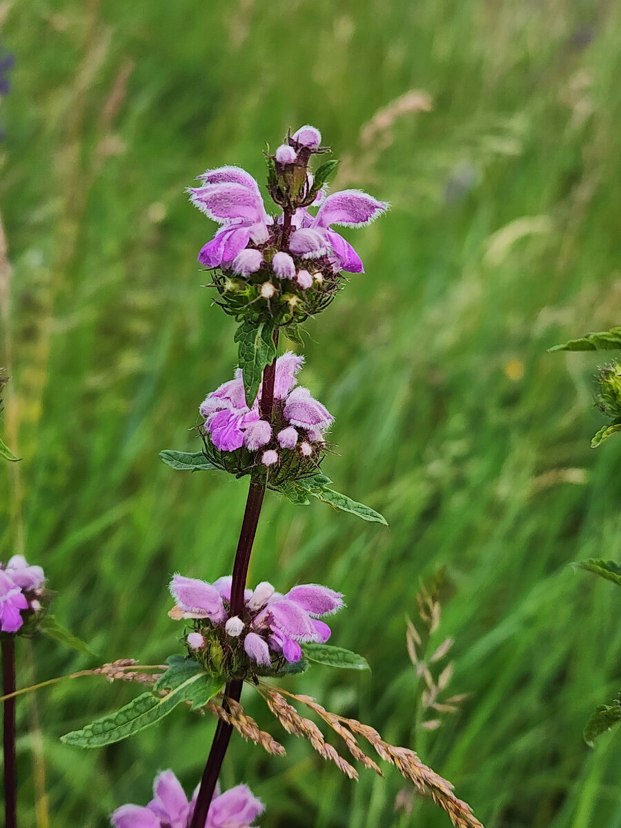 Голова или печень: что выбираете вы? | Заметки на бегу (ОнлиЯ) | Дзен