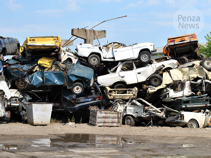    © Фото из архива ИА «PenzaNews»