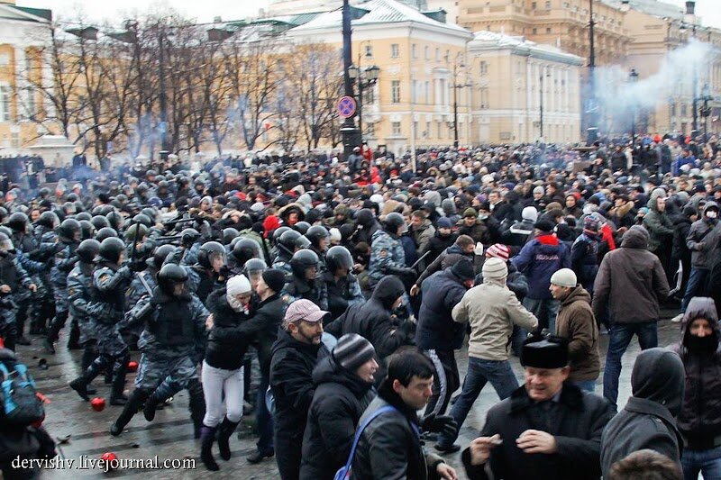 Автор: http://ogurcova-online.com/blog/wp-content/uploads/2010/12/MG_3662-1.jpg