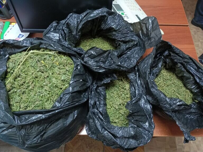    У жителя Октябрьского района на чердаке обнаружили более 3 кг марихуаны Марина Шарт