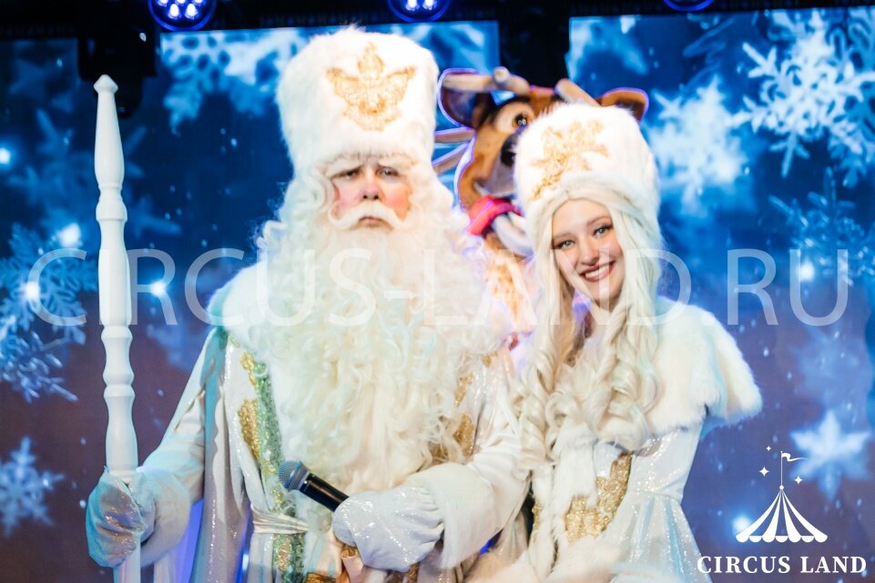 Источник для фото: https://circus-land.ru