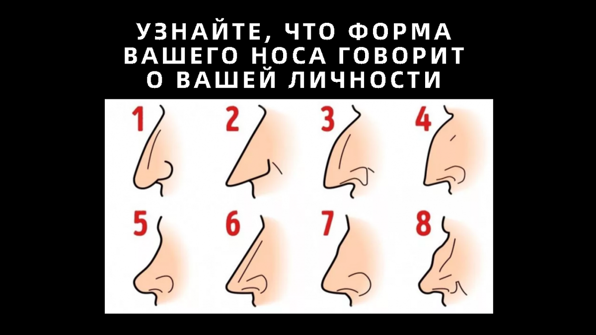 У чего может быть нос. У чего может быть нос