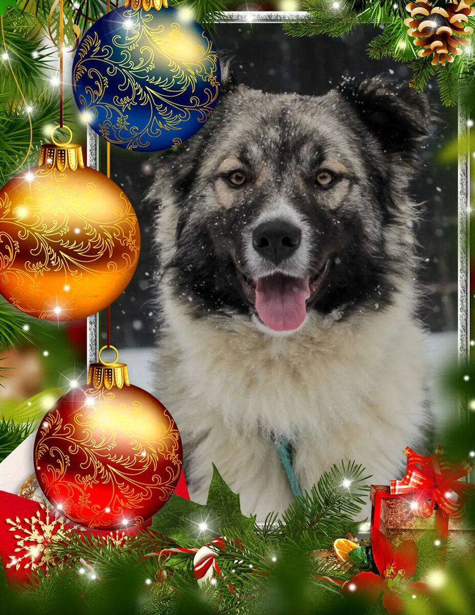 Коллаж- собственность канала