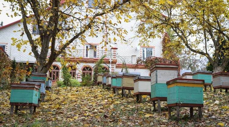 Фото: Валерия Шатько