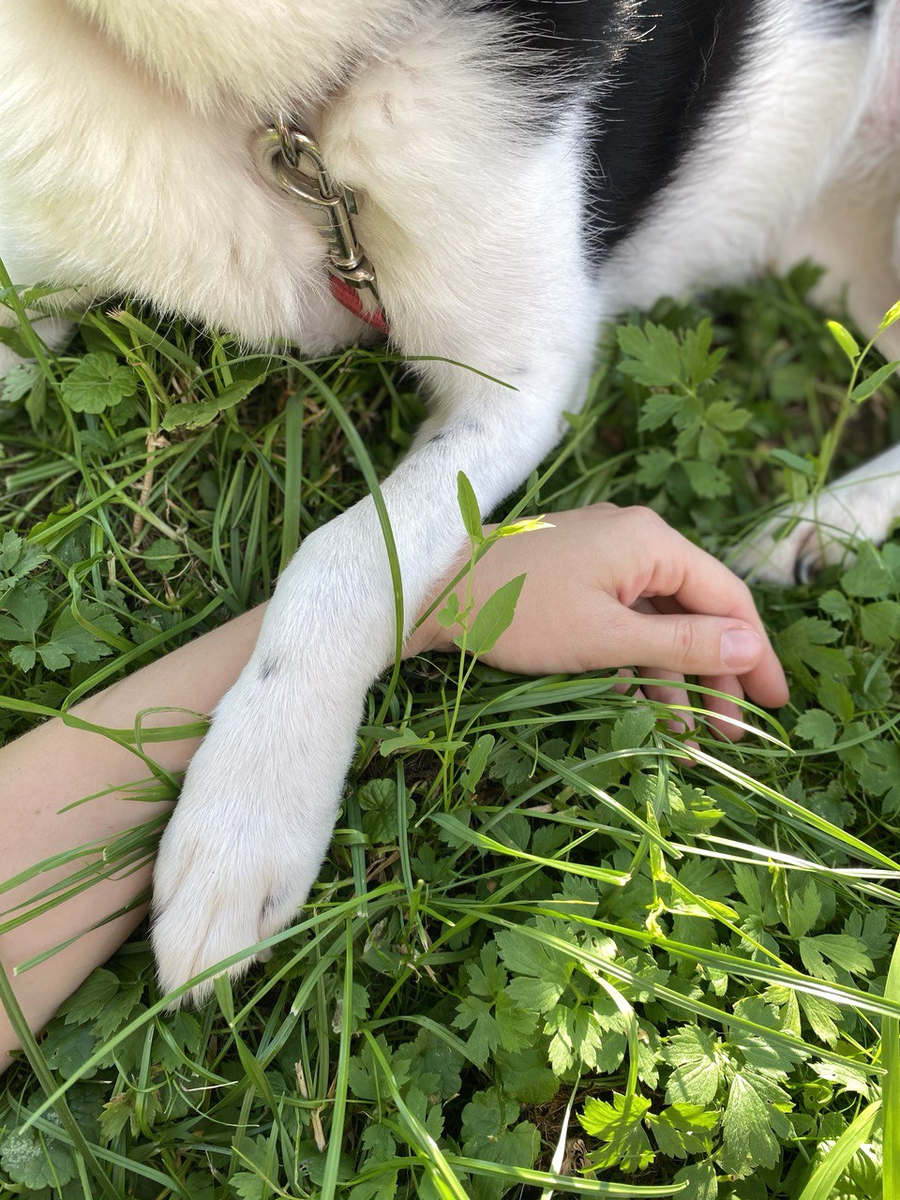 Начало нашей истории.