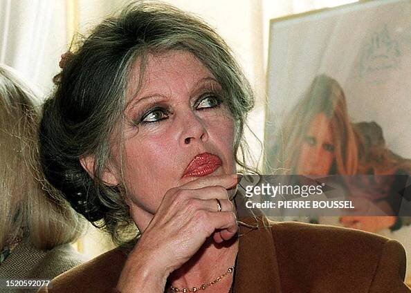 источник https://www.gettyimages.com/detail/news-photo/photo-prise-le-21-mars-1995-%C3%A0-paris-de-lactrice-brigitte-news-photo/1520592077