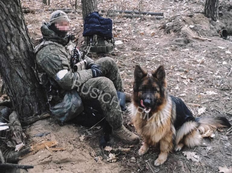 Военнослужащие спецназа ВДВ ВС РФ во время проведения операции на Украине Фото: @rusich_army